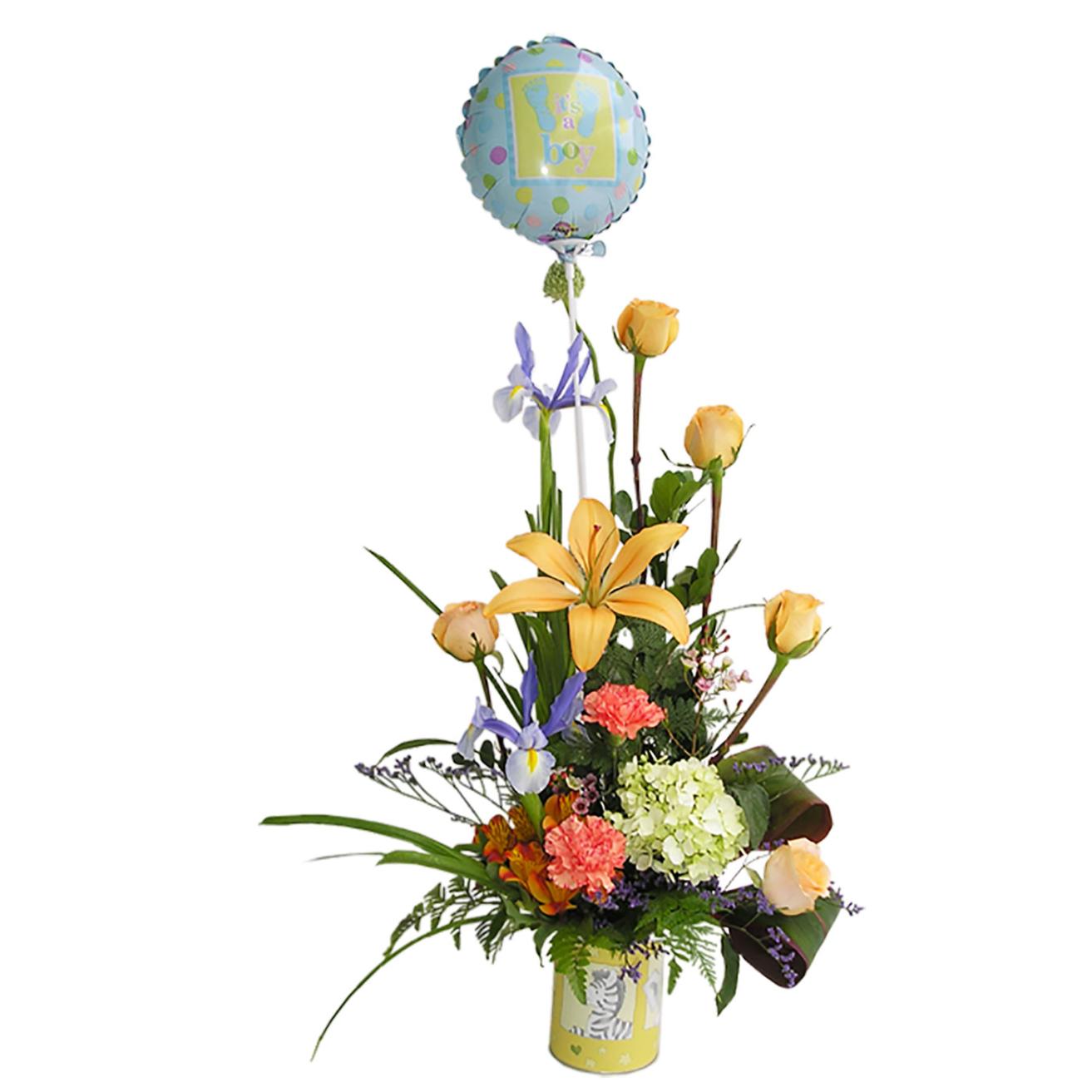 Bienvenido Bebe Hombre