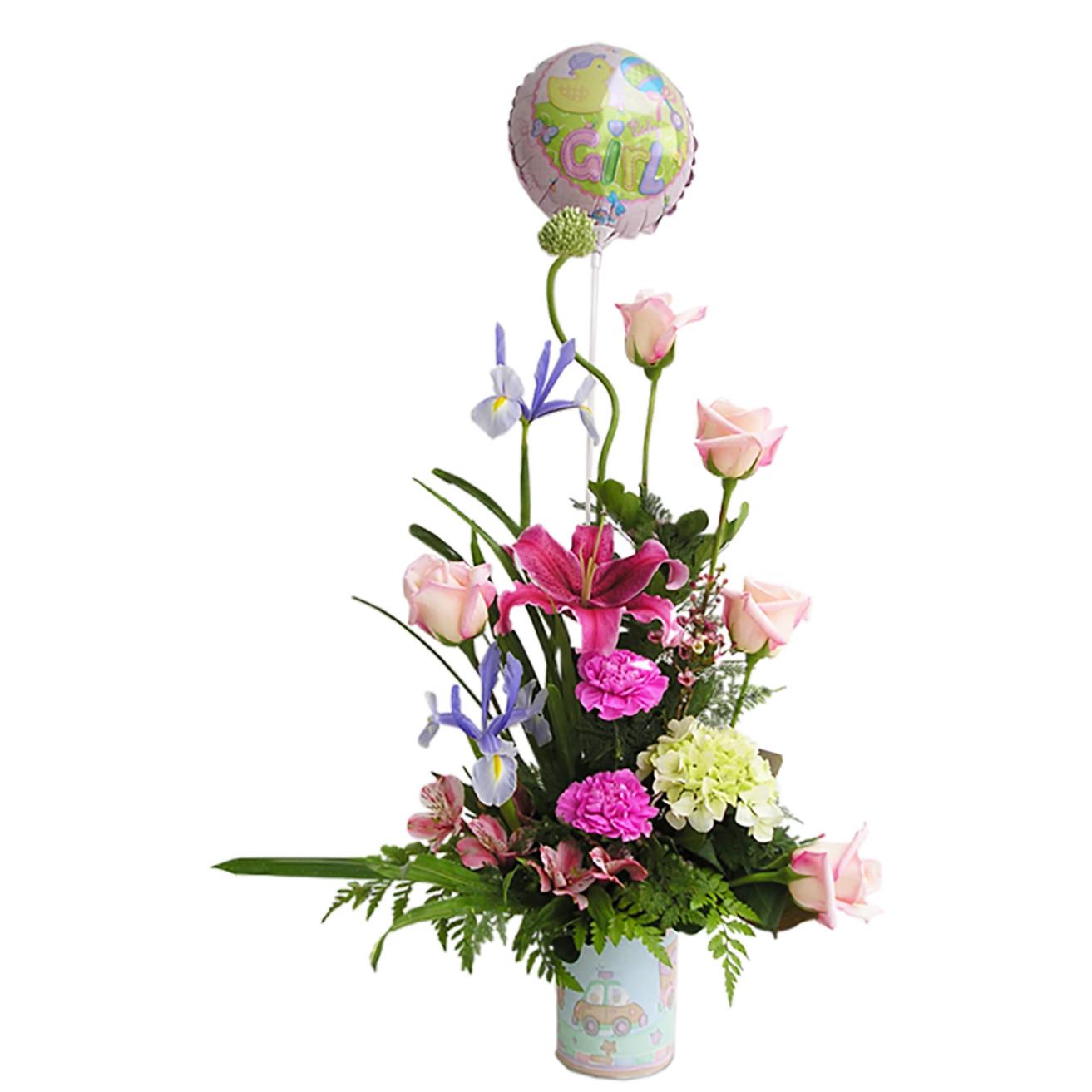 Bienvenido Bebe Mujer