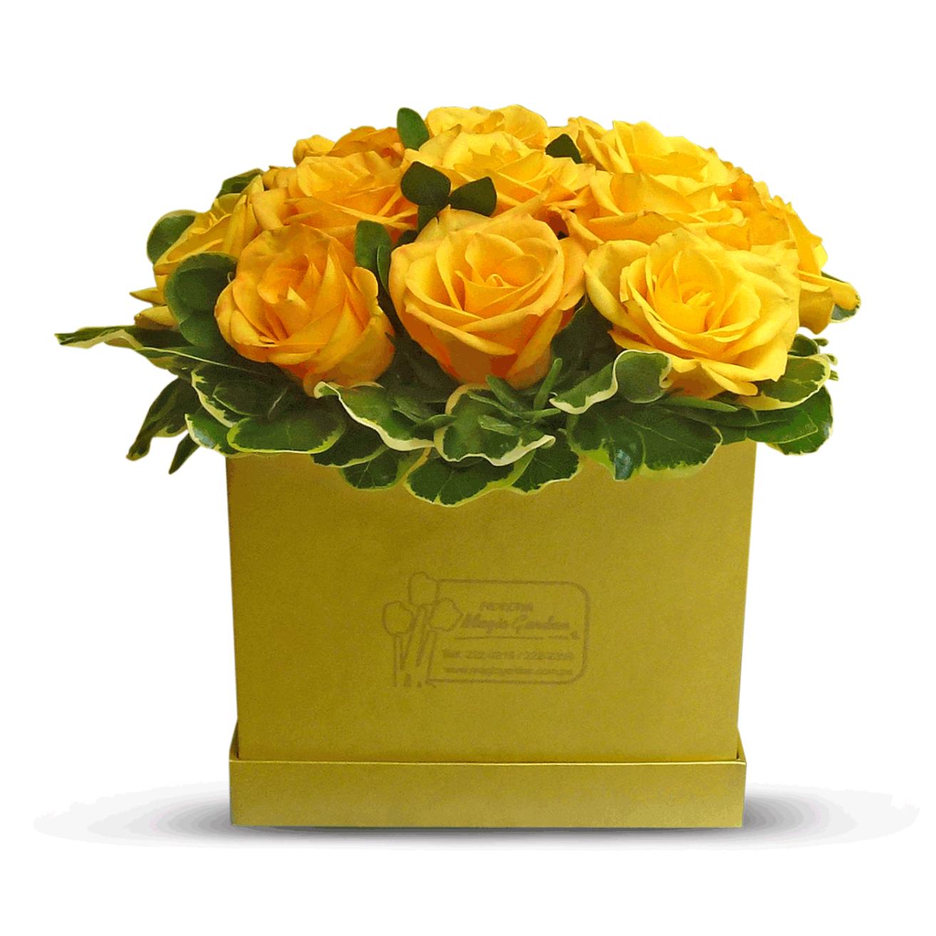 Box Rosas