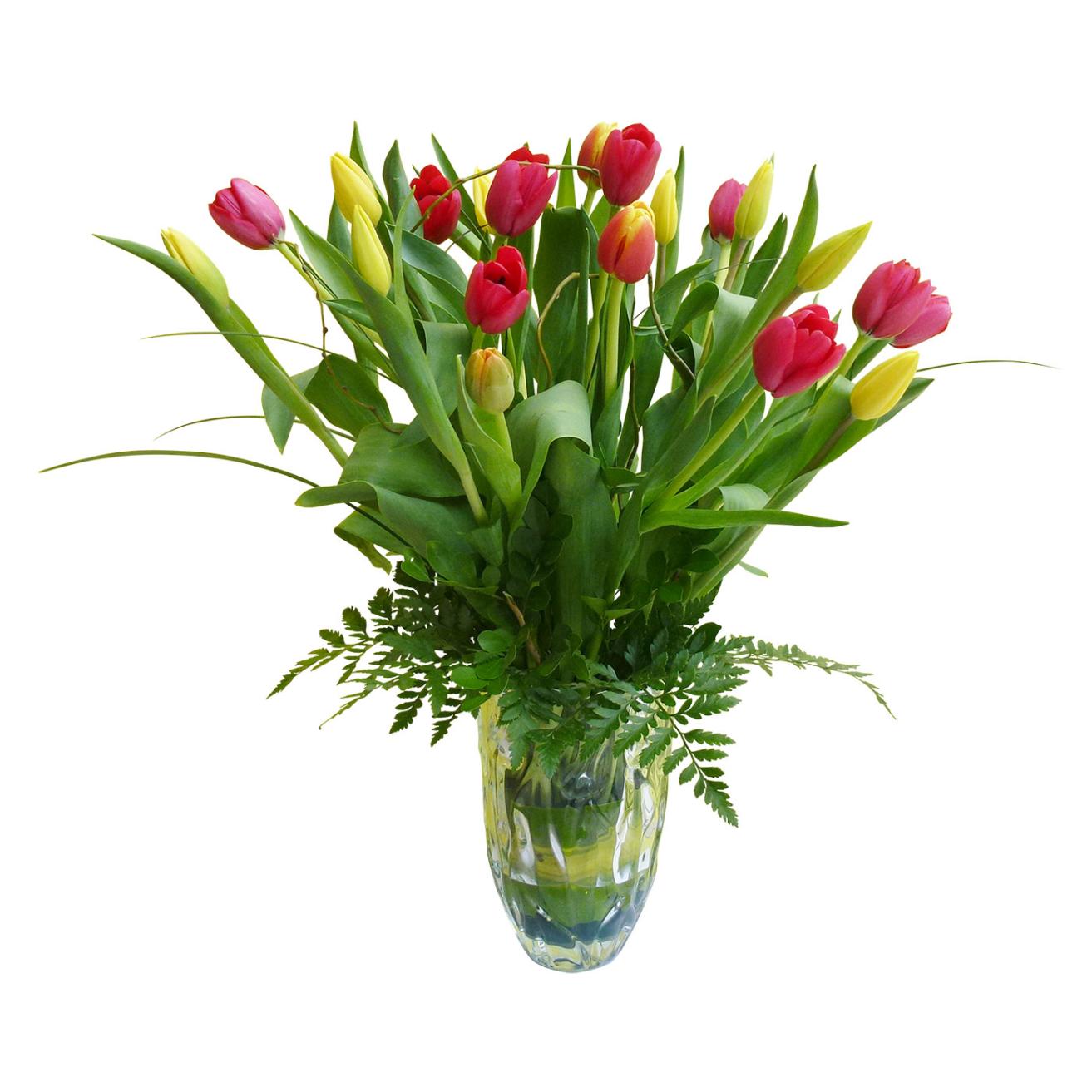 Primavera de Tulipanes