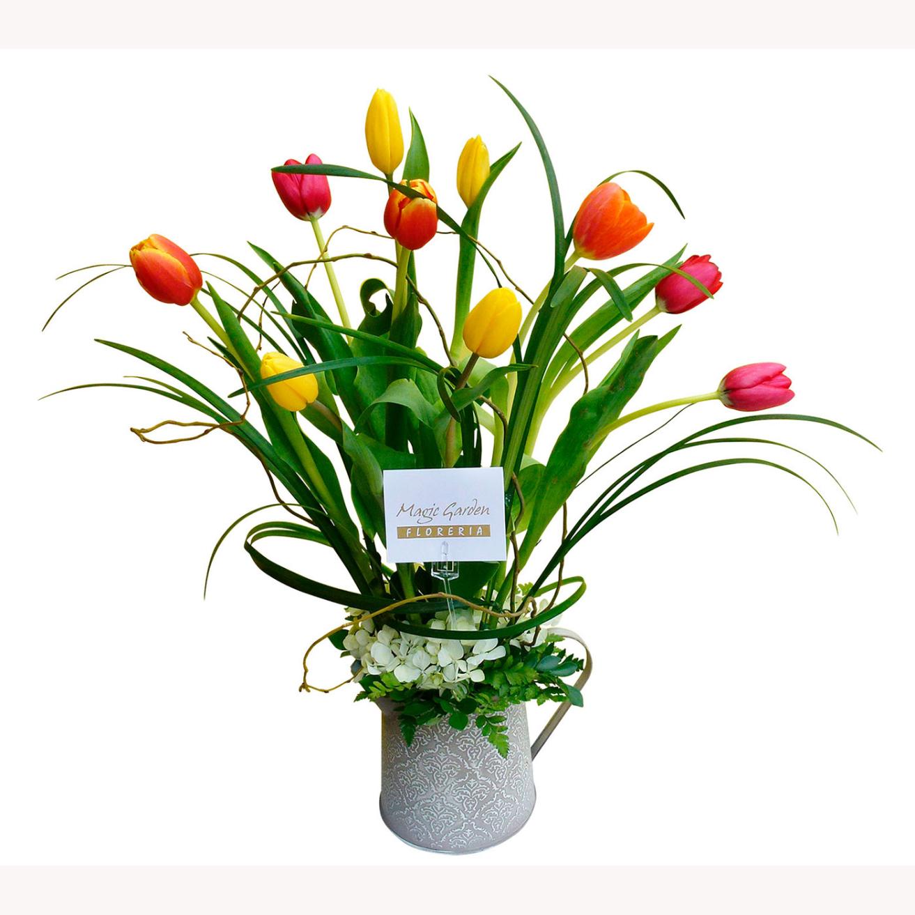 Regadera de Tulipanes